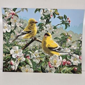 Yellow Birds And White Flowers Finished Acrylic Painting Paint By Number Nature